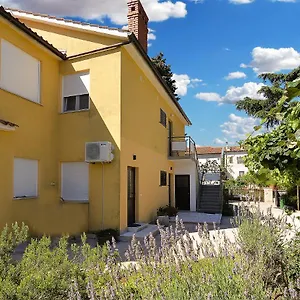 https://apartments-nedo-2047.in-istria.net